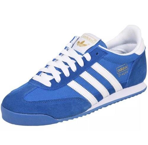 adidas dragón